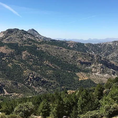 El Molino De Rosa Maria Serrano