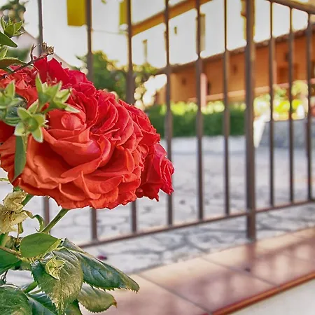 Casa rural El Molino De Rosa Maria Serrano